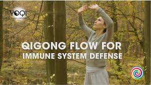 Taoist yoga morning vitality circulation. Qiblog Yoqi