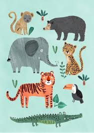Petit Monkey Poster Wild Animals 50 X 70 Cm Monkey Illustration Wild Animals Drawing Animal Illustration Kids