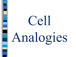 This template was designed with the theme of the. Cell Analogies Ppt