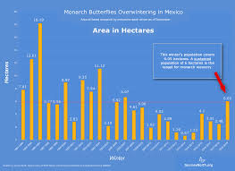 how many monarch butterflies in mexico this winter