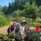 Fall Bulb Planting — SBGS event image