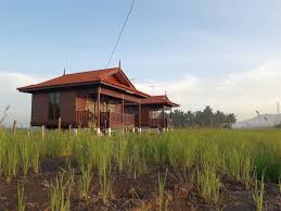 Salam, time entry ini di taip kami dalam perjalanan balik dari kedah ke klang, selangor, eeee rindunya dengan istana yanmie hikhik, layan gambar sawah padi kat bawah ni, cantik kan?. 7 Aktiviti Di Teratak Toksu Hilang Stress Tengah Sawah Rm80 Je Destinasi Mstar