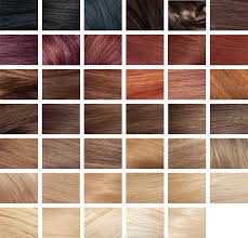 Revlon Salon Hair Color Chart Www Bedowntowndaytona Com