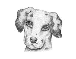 Wie Zeichnet Man Einen Dalmatiner Hund Design Illustration Website Entwicklung Computerspiele Und Mobile Anwendungen