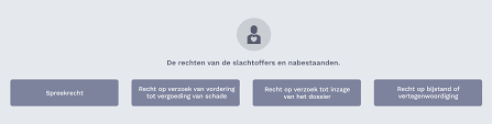Strafzaak Juridische Wegwijzer Mh17