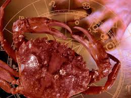In the following, i've just prepared a checklist of signs when a male cancerian finally falls in love with you: Cancer Sex Zodiac Sign Astrology