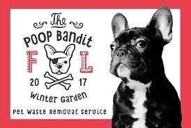 Pet waste removal service near me. Top 4 Reasons Why Picking Up Pet Waste Is Crucial The Savvy Sitter