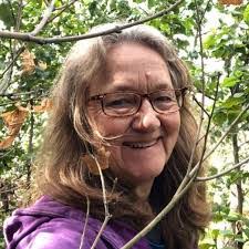 Amanda Schaper's Instagram, Twitter & Facebook