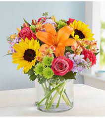 Low prices and same day connecticut flower sending birthday flowers to a friend in milford, well wishes to family in stratford, a get well fruit basket to an ailing acquaintance in somers. Bridgeport Ct Florist Free Flower Delivery In Bridgeport Ct Fruits Flowers