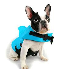 French bulldogs are fascinating canine creatures. Dog Life Jacket Safety Clothing Shark Shape Pet Life Vest Summer Puppy French Bulldog Fin Jacket Swimming Cloth Walmart Com Walmart Com