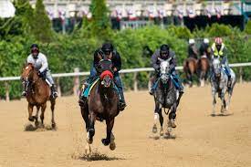 Future trending kitchen designs 2021 preakness predictions. Belmont Odds And Picks Who Will Win The New York Times