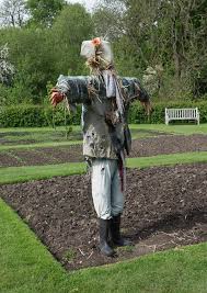 Scarecrow translated from english to spanish including synonyms, definitions, and related words. Scarecrow Wikidata