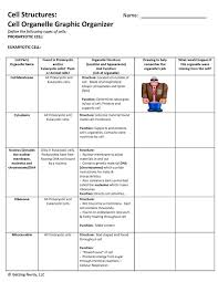 cell organelle graphic organizer differentiated for