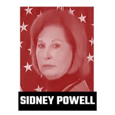 Co-Defendants and Unindicted Co-Conspirators: What Public Records Reveal  About Trump Allies' Election Denial Activities