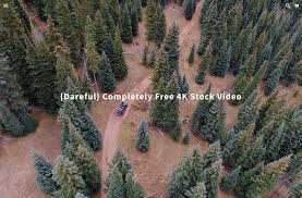 dareful 提供免費4k 影片素材 下載mp4 格式採cc 授權可商用 video home stock video views