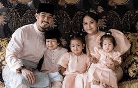 Calon menantu tuan rumah episode 1. Engku Muzahadin
