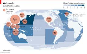 Improving The Ocean Getting Serious About Overfishing