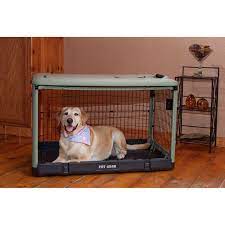 Maybe you would like to learn more about one of these? Pin On My Pet Dreamboard