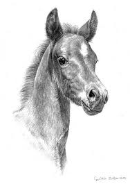 Little Star By Zsofiagyuker Pferde Zeichnen Pferdezeichnungen Pferd Zeichnung