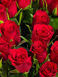 Bright, fresh flowers make a thoughtful gift for any type of occasion. Order Flowers Online Fresh Flowers Online Delivery Lafleur