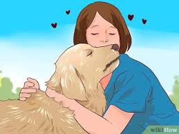 Many pet sitters find their jobs through referrals from other pet owners, but it's good to explore other options beyond your professional circle as well. How To Be A Good Pet Sitter 11 Steps With Pictures Wikihow