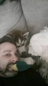 Matthew Charette's Instagram, Twitter & Facebook