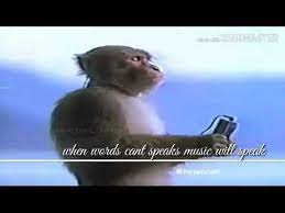 Monkey Sony Walkman Video Gallery Sorted By Comments Know Your Meme
