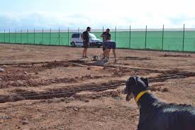 We did not find results for: Gds Centre News Galgos Del Sol