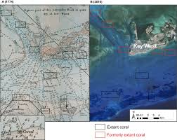 Example Of Nearshore Coral Loss Near Key West Florida A