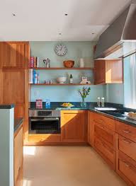 Ovens that fit 1/4 size pans. Surgical Precision Carnemark