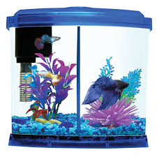We make and sell the betta fish tank dividers. Top Fin Liquidy Split Aquarium 1 Gallon Fish Starter Kits Petsmart