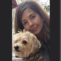 Diana Sue Schafer Obituary