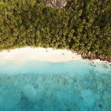 Why fregate island in the seychelles can. Fregate Island Private Island For Seychelles Holidays