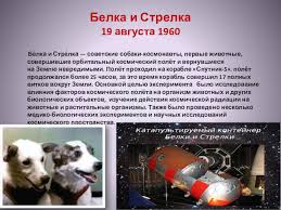 Check spelling or type a new query. Doroga V Kosmos Doklad Proekt