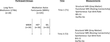 How much do you meditate per day? The Effect Of Mindfulness Meditation On Impulsivity And Its Neurobiological Correlates In Healthy Adults Scientific Reports
