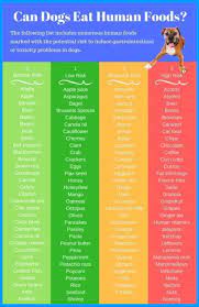 How To Groom Your Dog At Home Dog Care Health Tips Dog Grooming Haircuts Dog Grooming Bulldog Puppies Dog Grooming Foods Dogs Can Eat