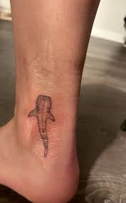 addison goering (addison0708)