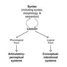 The lexical morphemes form open classes in the sense that their members can be increased with ease. Nanosyntax Wikipedia