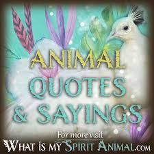 These great funny farmer slogans and sayings highlight the invaluable contributions and hard work of the agriculture industry. Inspirational Spiritual Love Funny Animal Quotes Sayings