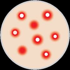 Rejuvi 'g' AHA Serum 1 fl. oz/30ml