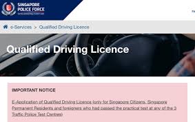 Renewing before the end of the year will avoid unnecessary delays related to their. Foreigners May Renew Driving Licenses Online From December 9 The Independent Singapore News