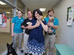 No one should have to choose between feeding their. Workers At Oklahoma City Animal Shelter Battle Kitten Overpopulation Community Lifestyle Oklahoma City Oklahoma Gazette