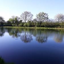 Pin On Natur