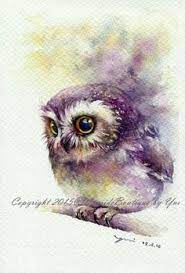 20 foto burung hantu terbaik sepanjang masa bikin melongo. 250 Owl Burung Hantu Ideas Owl Owl Art Cute Owl