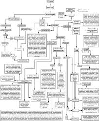 lineage flow chart for mammalian embryonic development