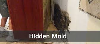 Black mold actively produces mycotoxins, the poisonous substance of fungus. Cleaning Up Mold In Your Home Misinformation On The Web Mold Help Org The World S Largest Toxic Mold Web Site