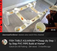 You can sit around it with your friends while watching the fishes swim gracefully, over friendly banters. Pvc Pipe Fish Tank Off 70 Www Usushimd Com