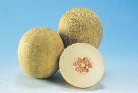 Image result for Cucumis melo