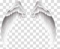 Wing White Wings Transparent Background Png Clipart Clip Art Angel Illustration Angel Wings Illustration