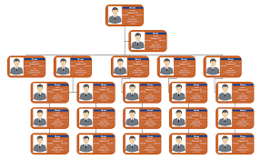 Staff Organization Chart Examples Software Free Download